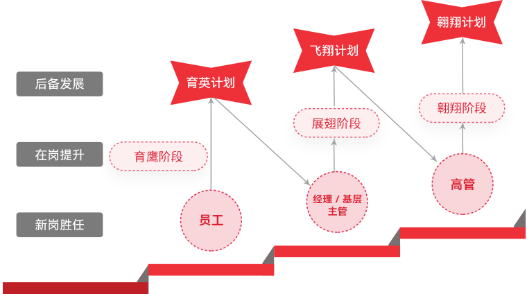 今年会jinnianhui金字招牌 "雄鹰计划"人才梯队培养